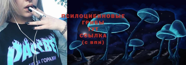 твердый Нея